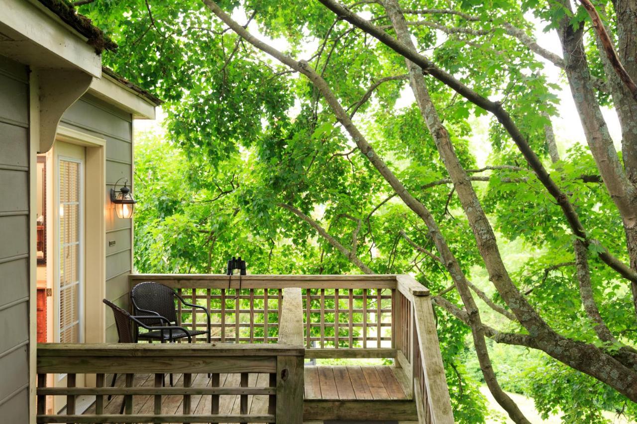 Inn And Cabins At Vaucluse Spring 스테픈시티 외부 사진